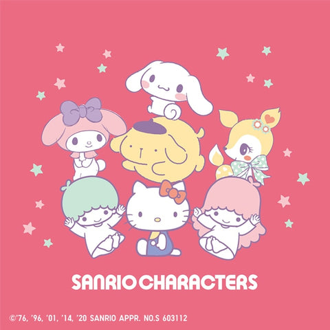 Sanrio Family My Melody Kuromi Cinnamorll Little Twin Stars PVC