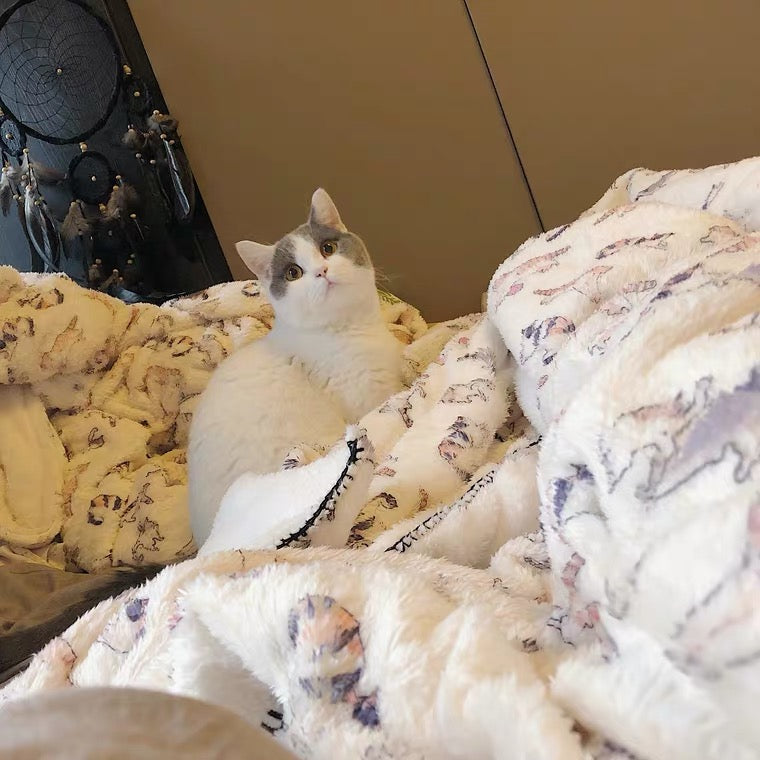 cat pattern fleece soft blanket