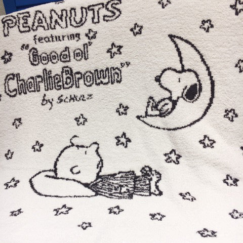 Snoopy & Charlie nap blanket